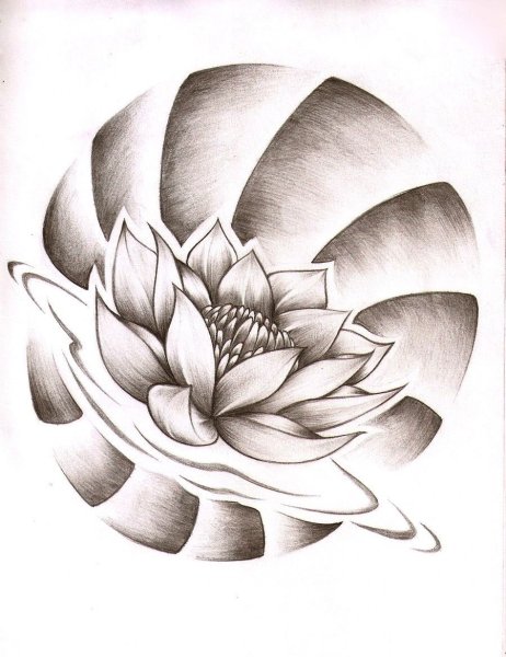 Лотос Япония тату эскиз