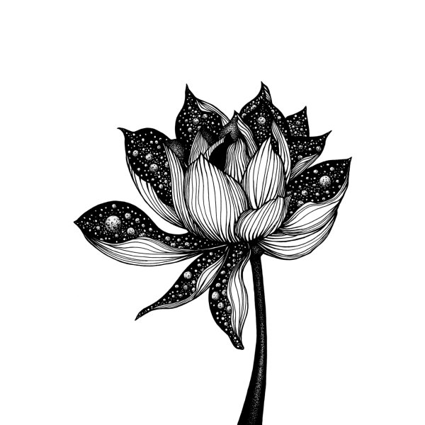 Графика цветы черно белые