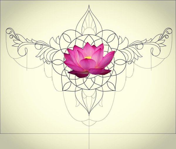 Мандала символ лотоса