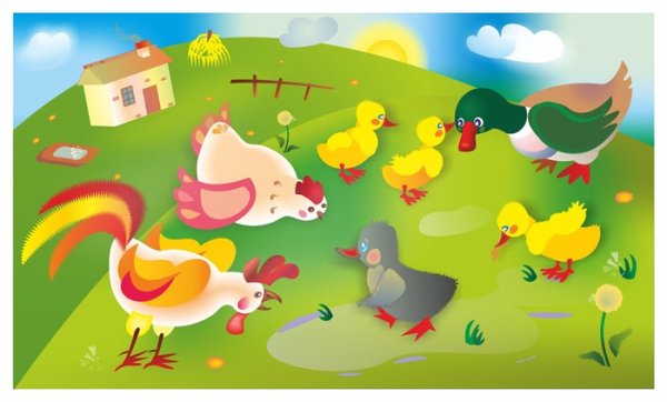 Птичий двор для детского сада