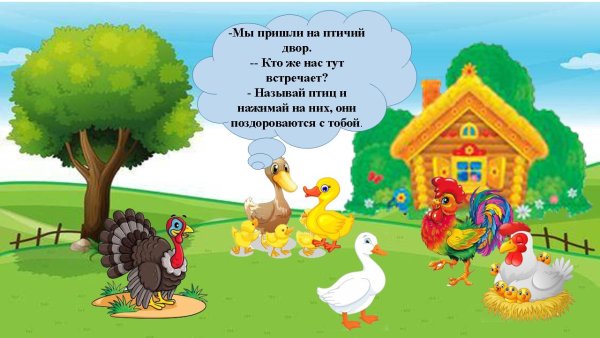 Птичий двор для детей