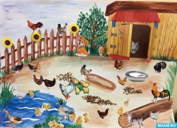 Куры и петухи сен Санс