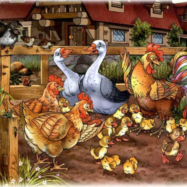 Птичий двор