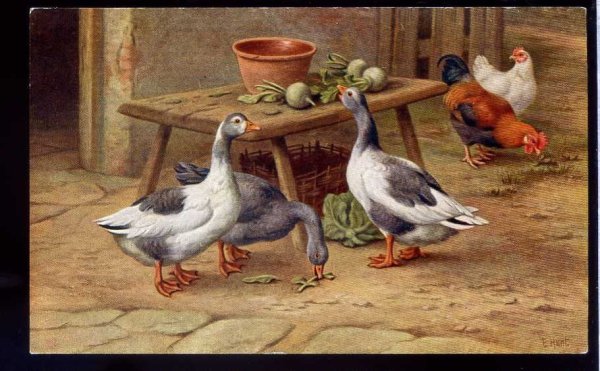 Курочка с цыплятами для детей