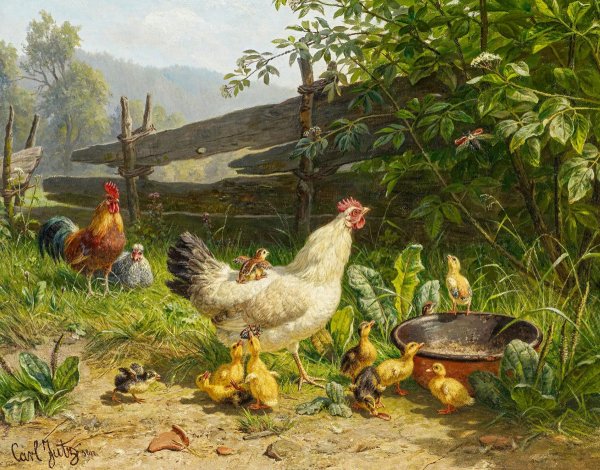 Птичий дворик для детей