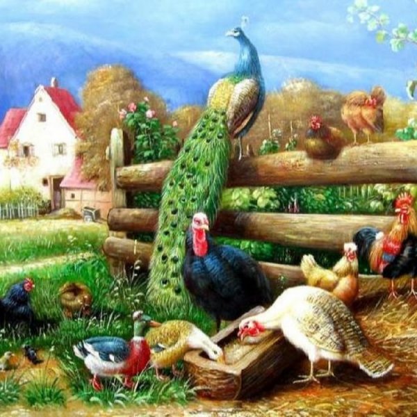 Эдгар Хант птичий двор