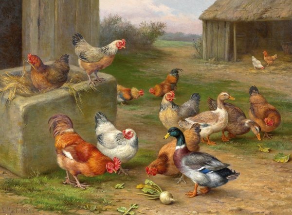 Эдгар Хант птичий двор