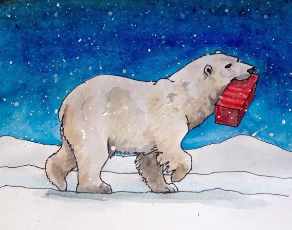 Белый медведь рисунок