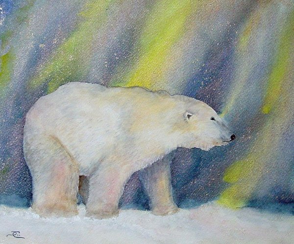 Рисование. Тема: «белый медведь и Северное сияние» (Лыкова, 140)