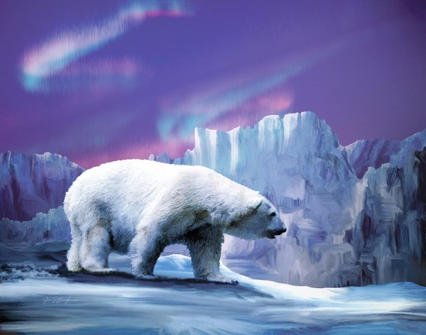 Арктика картина