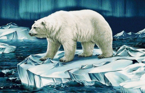 Алмазная мозаика белые медведи