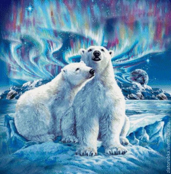 Северный полюс Северное сияние белый медведь