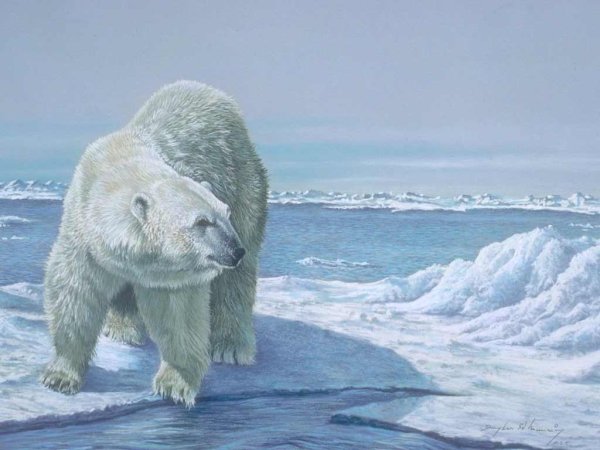 Пейзаж с белым медведем