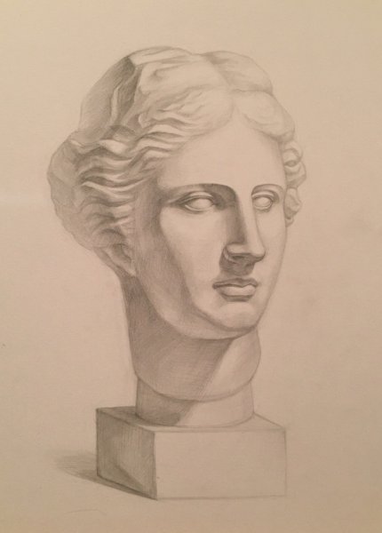 Голова Венеры Милосской Академический рисунок