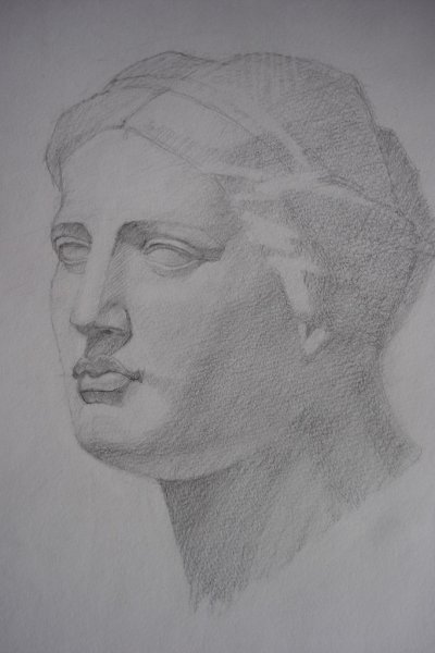 Гипсовая голова Венеры Милосской