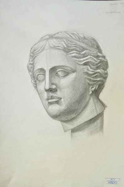 Гипсовая голова Венера Капуа рисунок