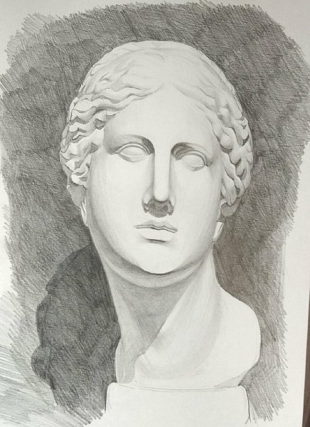 Рисунок гипсовой головы Венеры МАРХИ