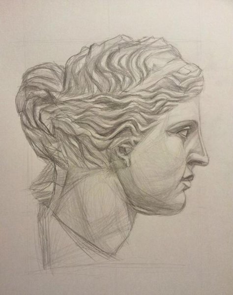 Венера Милосская голова рисунок