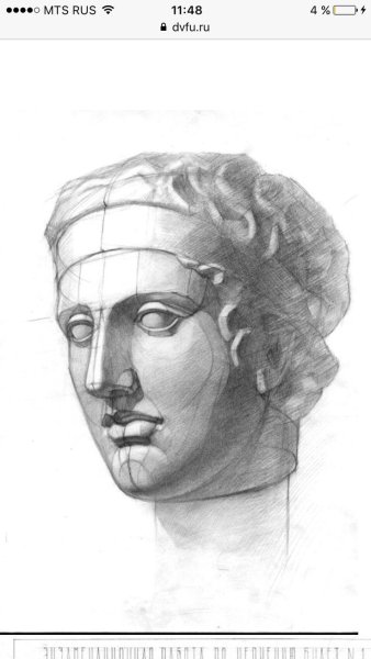 Гипсовая голова Венера Капуа