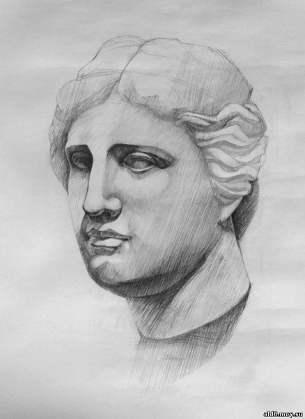 Гипсовая голова Афродиты Академический рисунок