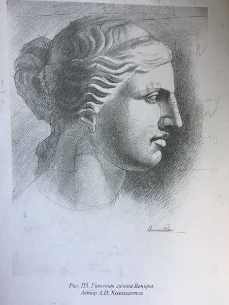 Голова Афродиты гипс рисунок