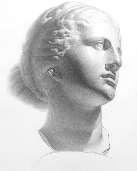 Афродита МАРХИ построение гипсовой головы