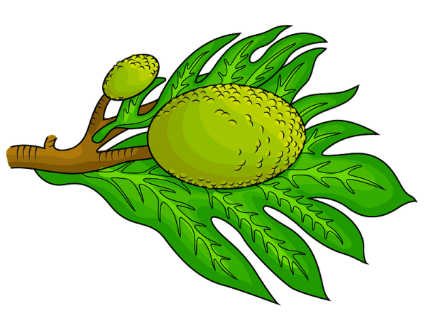 Хлебное дерево нарисовать