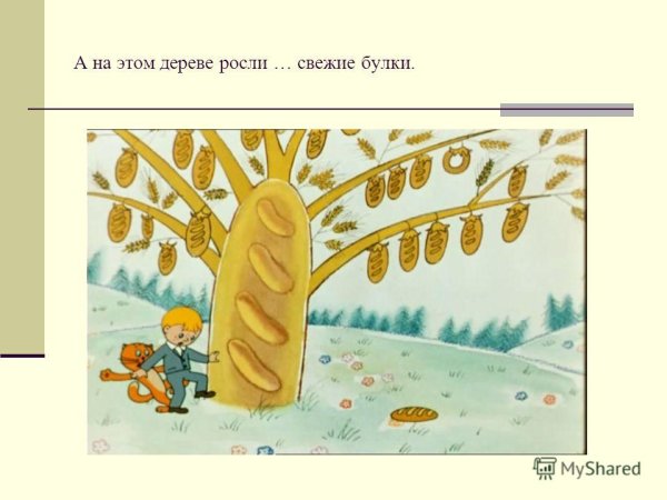 Хлебное дерево в Австралии