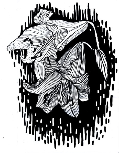 Графика тушью и пером