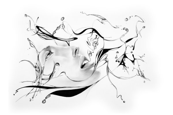 Графические зарисовки трав