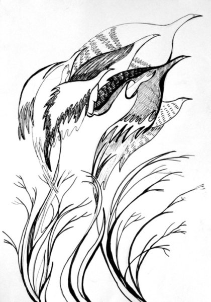 Морские обитатели тушью