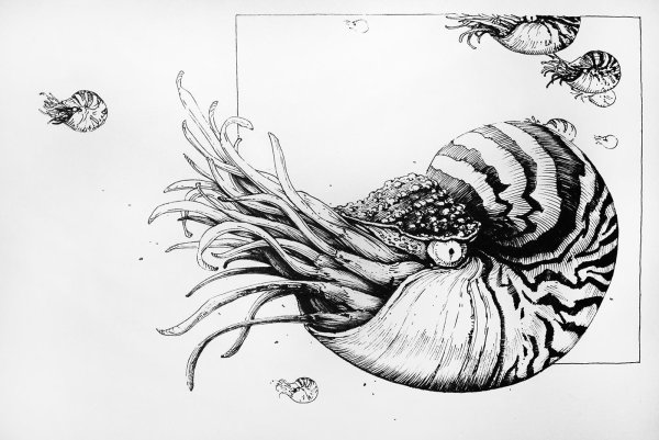 Графика тушью и пером