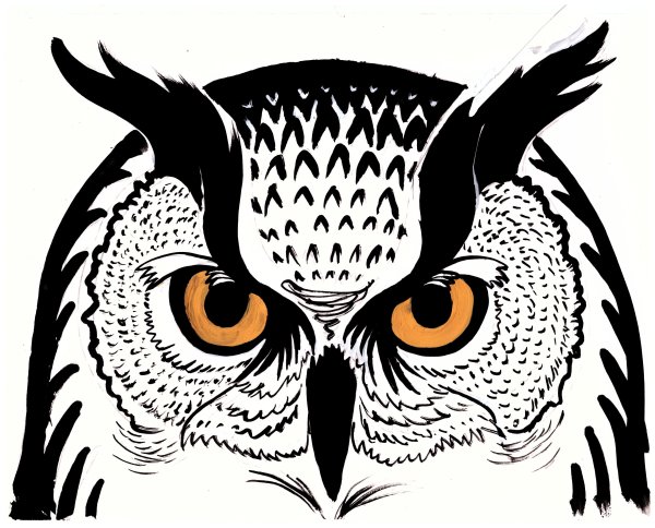 Сова Графика