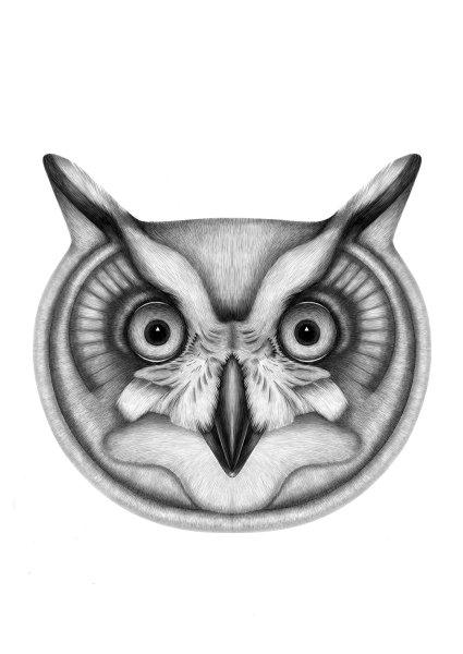 Мордочка Совы