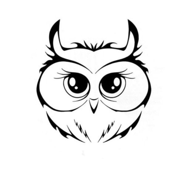 Контур морды Совы