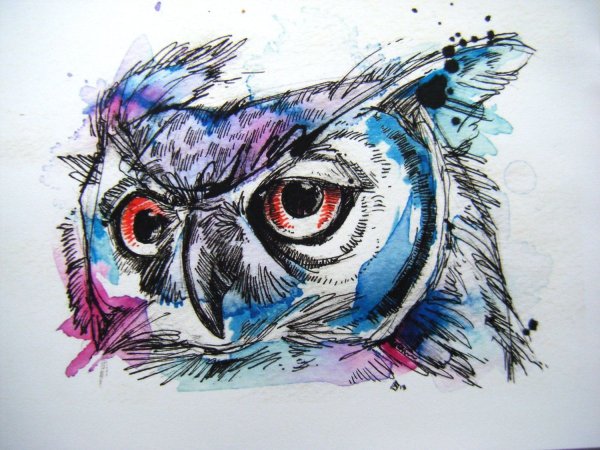 Голова Совы акварель