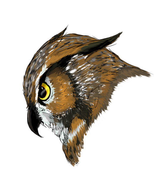 Маска Совы арт