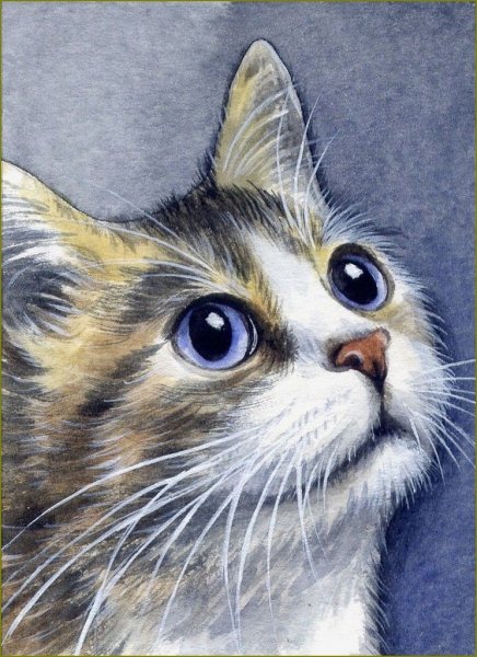 Кошка рисунок реалистичный