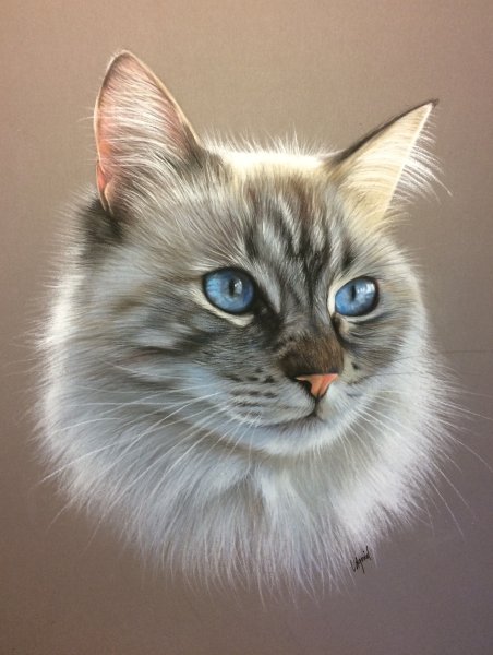 Кошки в живописи