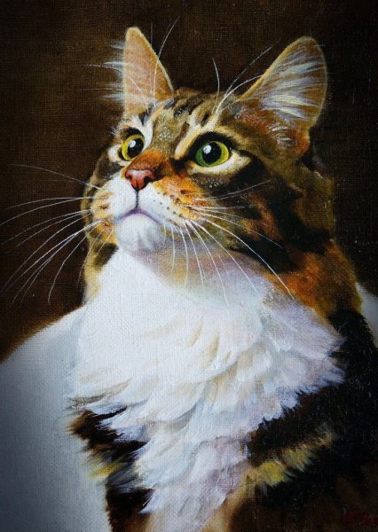 Портрет кошки