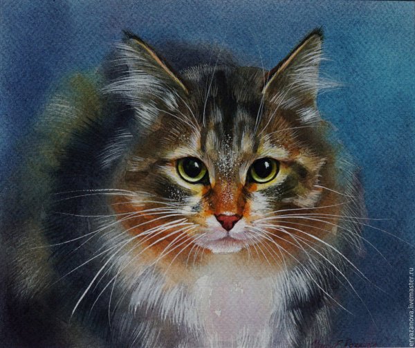 Портрет кошки