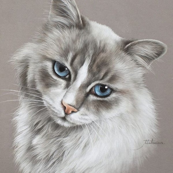 Морда кота живопись