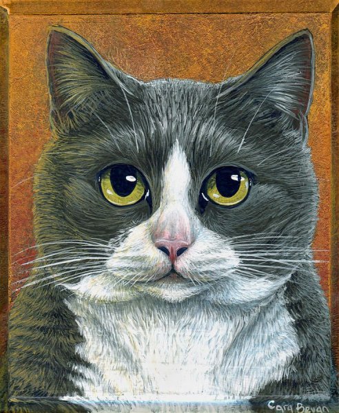 Портрет кошки для детей