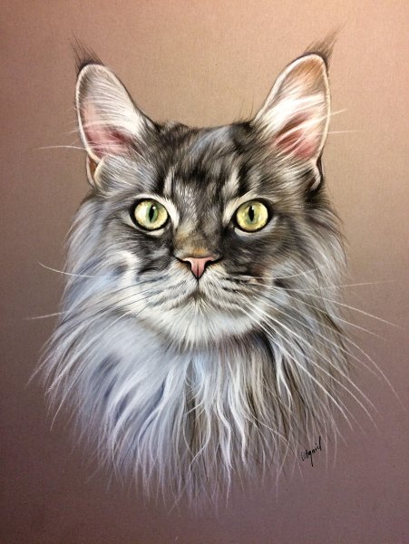 Животные пастельными карандашами