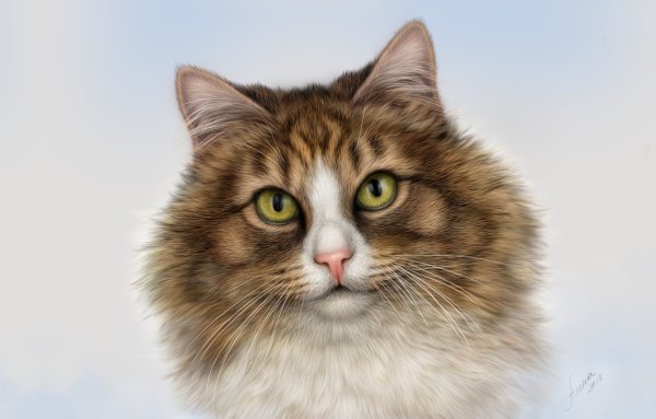 Гейл Мейсон