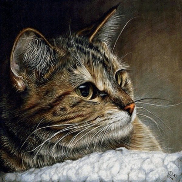 Кот масляной пастелью