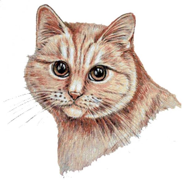 Кошка акрилом