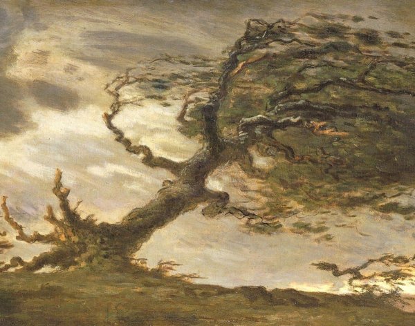 Буря дерево