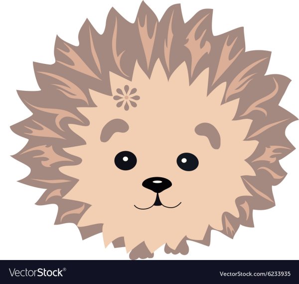 Мордочка ежика для рисования