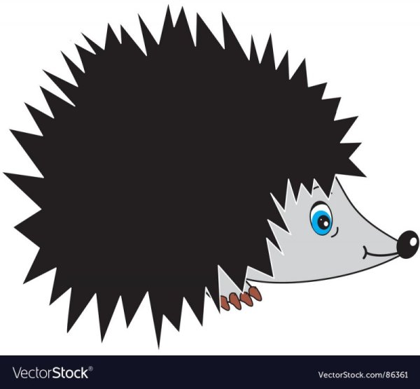 Морда ежа для аппликации